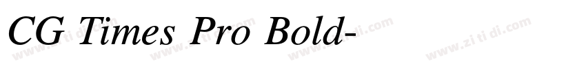 CG Times Pro Bold字体转换